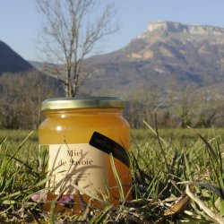 Miel de montagne 500g