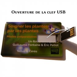 Ouverture de la clef USB du film